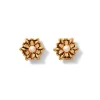 The Metropolitan Museum of Art Earrings*French Amor Stud Earrings