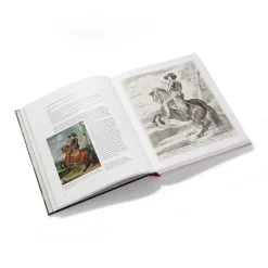 The Metropolitan Museum of Art Exhibition Catalogues*Goya'S Graphic Imagination