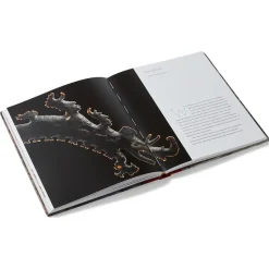 The Metropolitan Museum of Art Exhibition Catalogues*Lives Of The Gods: Divinity In Maya Art