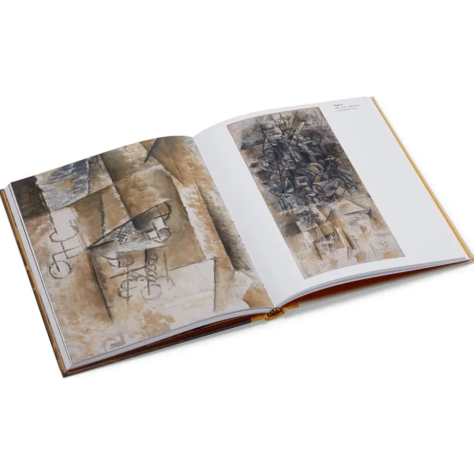 The Metropolitan Museum of Art Exhibition Catalogues*Picasso: A Cubist Commission In Brooklyn