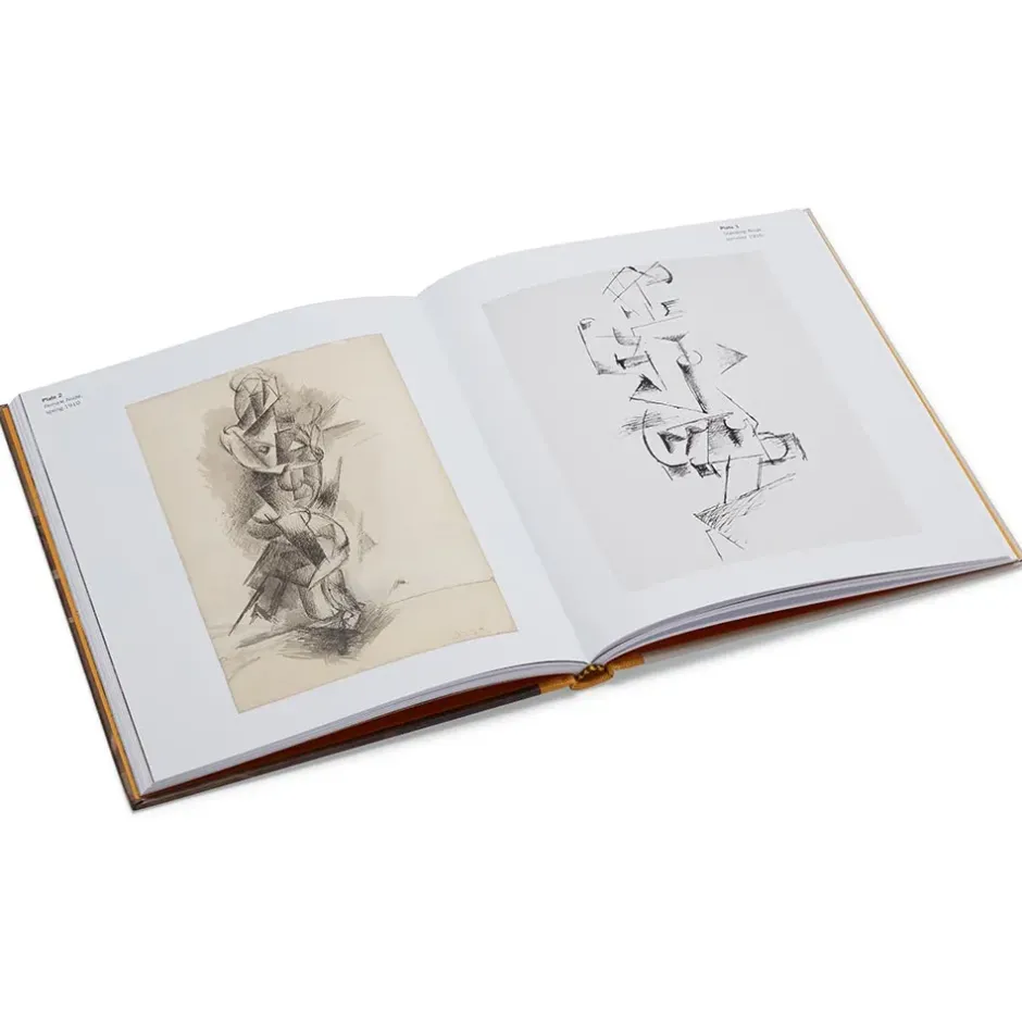 The Metropolitan Museum of Art Exhibition Catalogues*Picasso: A Cubist Commission In Brooklyn