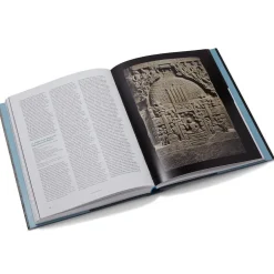 The Metropolitan Museum of Art Exhibition Catalogues*Tree & Serpent: Early Buddhist Art In India